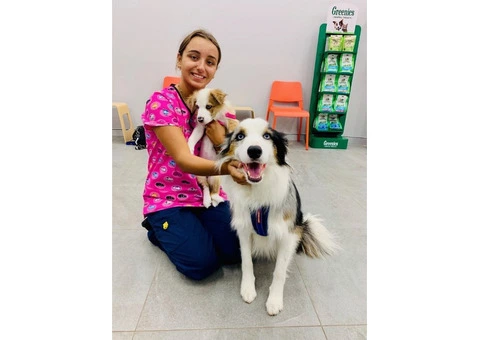 Blakehurst Vet - 4/7