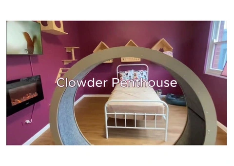 Blakehurst Vet - 6/7