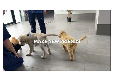 Blakehurst Vet - 7/7