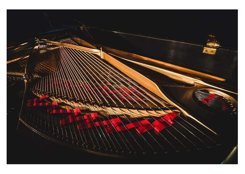 Expert Piano Lessons & Music Classes in Brisbane | Vivo College of Music - 2/2