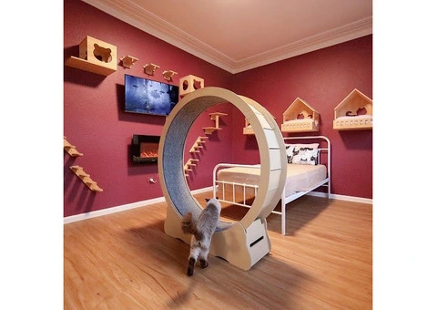 Hotel for Cats - 2/14