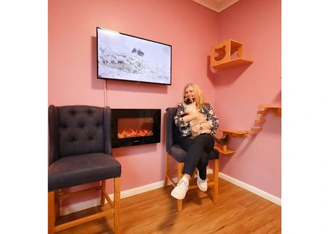 Hotel for Cats - 3/14