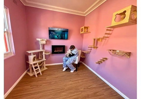 Hotel for Cats - 4/14