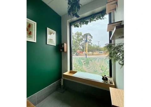 Hotel for Cats - 5/14