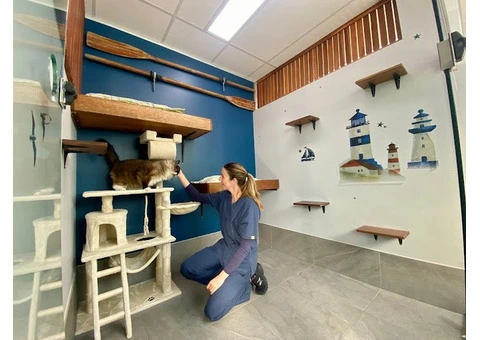 Hotel for Cats - 6/14