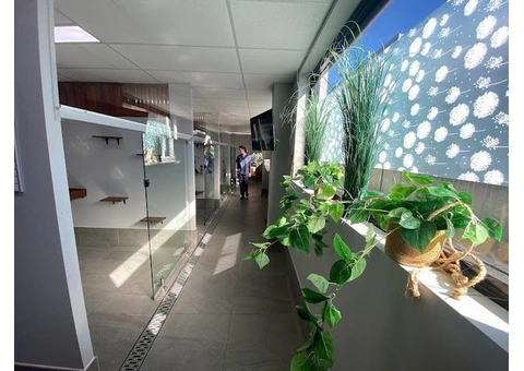 Hotel for Cats - 7/14