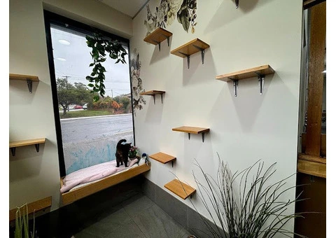 Hotel for Cats - 9/14