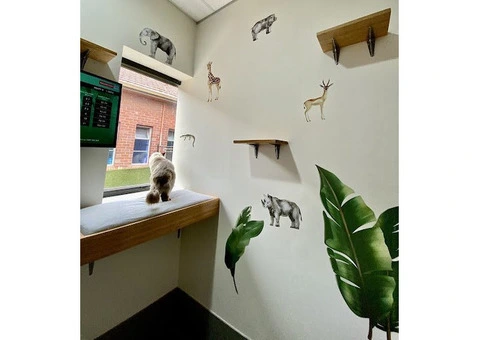 Hotel for Cats - 10/14