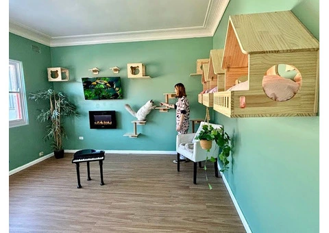 Hotel for Cats - 11/14