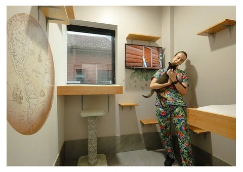 Hotel for Cats - 13/14