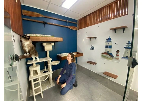 Hotel for Cats - 14/14