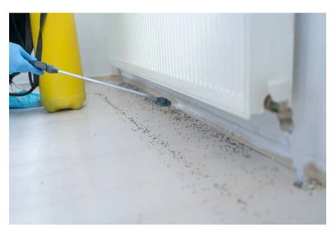 Expert Pest Control Services in Pakenham – True Pest Control​