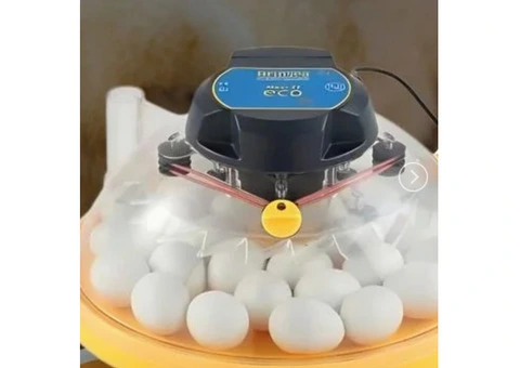 Poultry Supplies