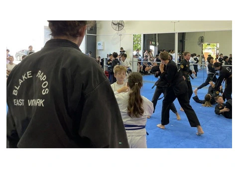 Learn About Karate Techniques With AMAF Australia!