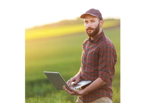 Improve Soil Health Naturally with Rock Dust Fertiliser