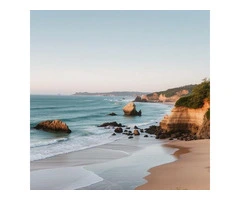 How a Buyers Agent in Northern Beaches Can Help You Secure Your Dream Home