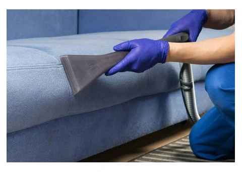 Reliable Couch Cleaning in Varsity Lakes: Squeaky Clean Sofa