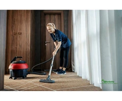 Effective Tips to Handle Water Damage & Mould in Carpets