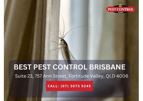 Trusted Pest Control Services in Brisbane