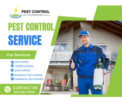 Your Local Experts in Cockroach & Pest Control – Keysborough
