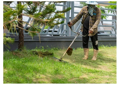 Keep Your Yard Fresh with NG Lawn Mowing Sydney