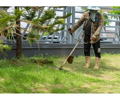 Keep Your Yard Fresh with NG Lawn Mowing Sydney