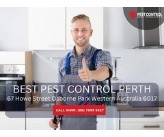 Trusted Pest Removal Perth Solutions for Your Home