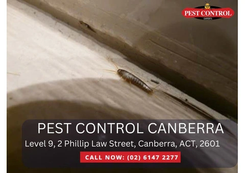 Thorough Pest Inspection Services in Canberra