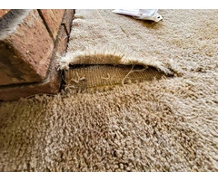 Expert Carpet Repair in Point Cook: Master Carpet Repair