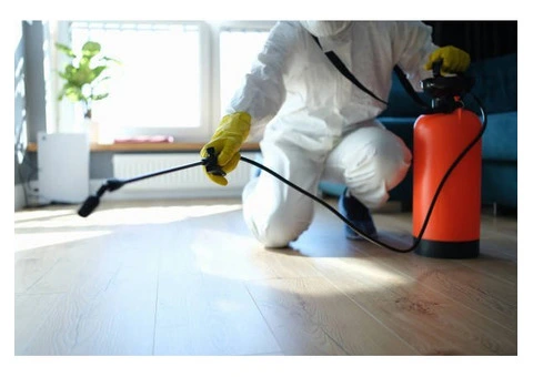 Trusted Pest Control Services in Caulfield North: True Pest Control