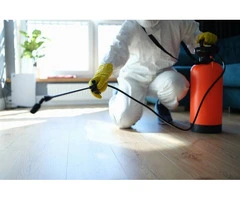 Trusted Pest Control Services in Caulfield North: True Pest Control