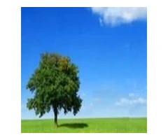 Rebuild Your Relationship with Skilled Counselors in Sydney CBD