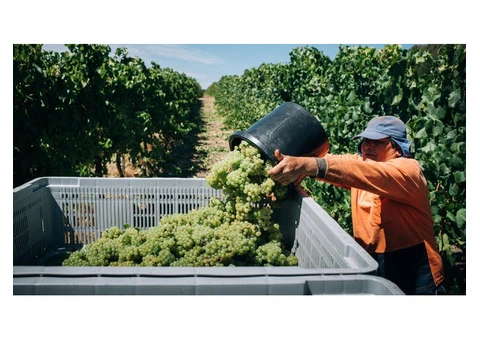 Howard Park Wines - 5/12