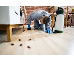 Effective Pest Control Services in Berwick: True Pest Control
