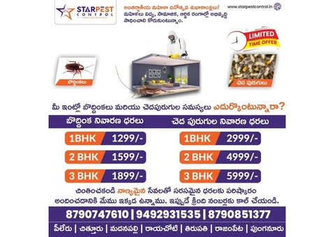 Best Ant Pest Control Services in Kurnool