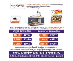 Best Ant Pest Control Services in Kurnool