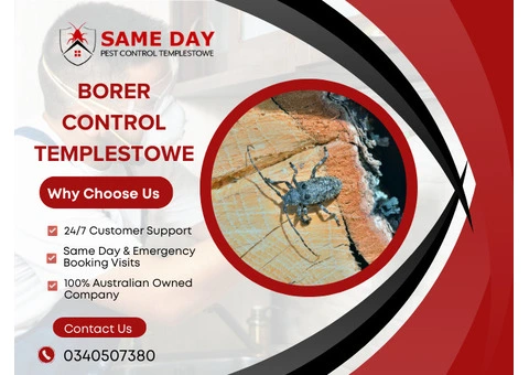 Say Goodbye to Borers – Trusted Pest Control Templestowe