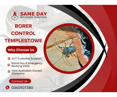 Say Goodbye to Borers – Trusted Pest Control Templestowe