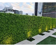 Create Stunning Spaces with Indoor and Outdoor Vertical Garden