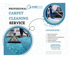 Your Local Frankston Carpet Cleaning Specialists