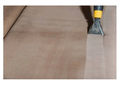 Professional Couch Cleaning Services in Bardon: Fresh and Clean Sofas