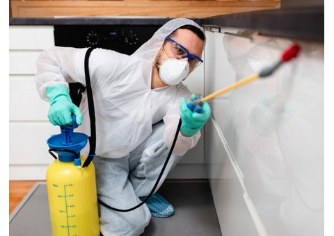 Prompt Pest control service