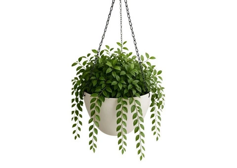 Modern & Stylish Tall Plant Pots for Outdoor Living