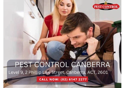 Complete Pest Control Services Canberra Families Can Count On