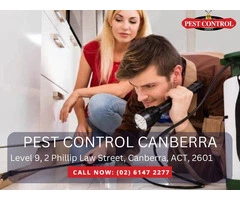 Complete Pest Control Services Canberra Families Can Count On