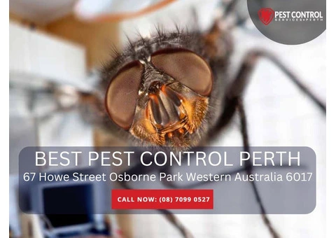 Your Reliable Choice for Pest Control Services in Perth