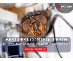 Your Reliable Choice for Pest Control Services in Perth