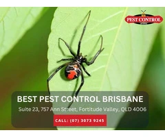 Effective Pest Management Brisbane for Your Property