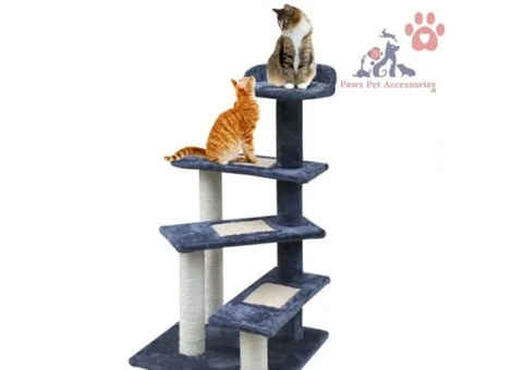 Paws Pet Accessories – Your One-Stop Shop for Cat Products!