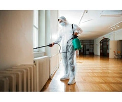 Reliable Pest Control Services in Point Cook: True Pest Control